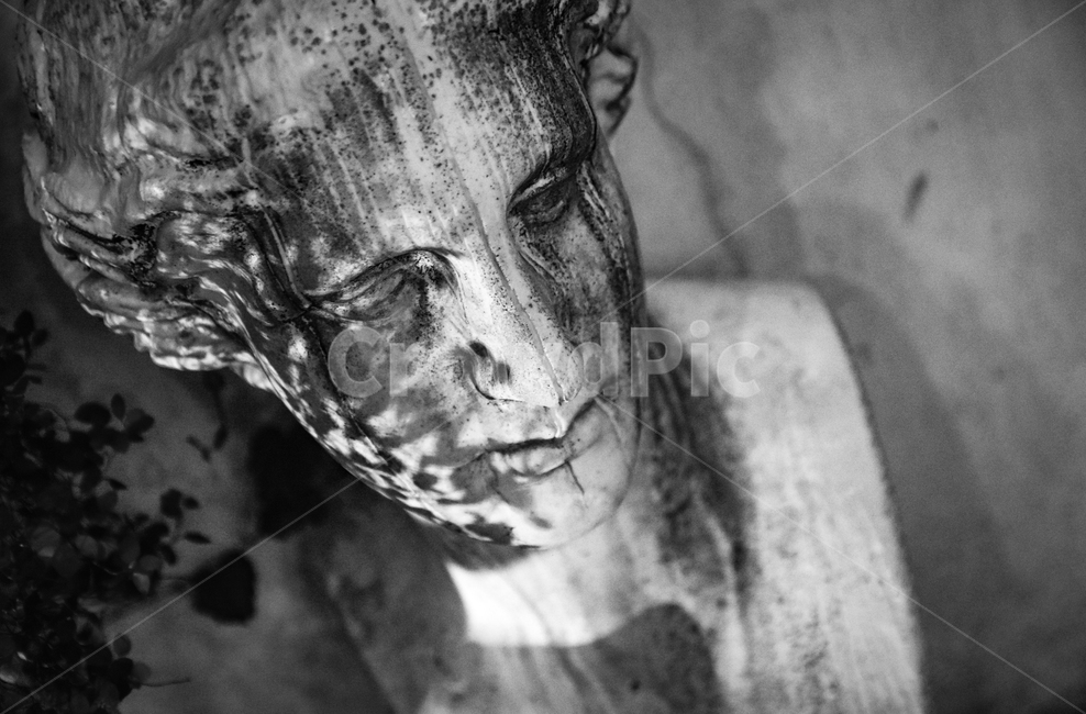 흉상,흑백,head,머리,석고상,blackandwhite,bust,sculpure,art,조각,미술,흑백,모노톤,monochrome,black and white