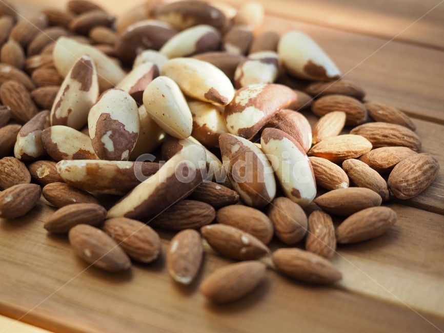 브라질너트,견과류,웰빙,음식,갈색,유기농,brazilnut,nuts,wellbeing,food,brown,organic,아몬드,너트,almond,nut,콩류,견과류,beans,pulse,nuts,dry fruits