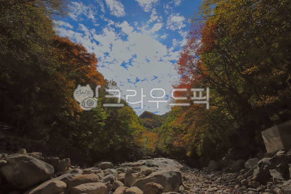 지리산,단풍,단풍놀이,뱀사골,계곡,산,가을,숲,나무,등산,rubble,도로,gravel,파편,dirtroad,자갈,흙길,road