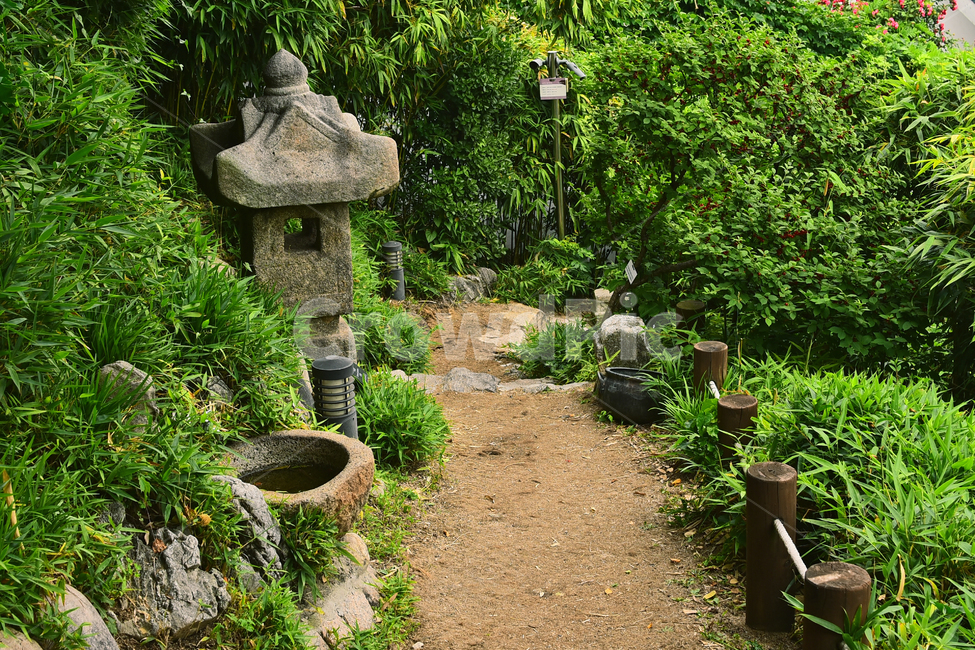 힐링,산책로,석등,한국전통,유물,조각물,길,한적한,대나무숲,숲길,명상,그린,초록,계절,시즌,배경,바탕,백그라운드,green,forest,rock,돌절구,정원,가든