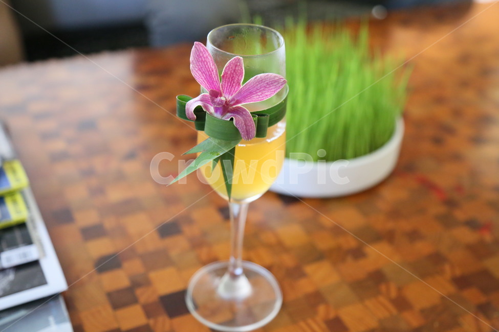 음료,쥬스,과일주스,beverage,drink,juice