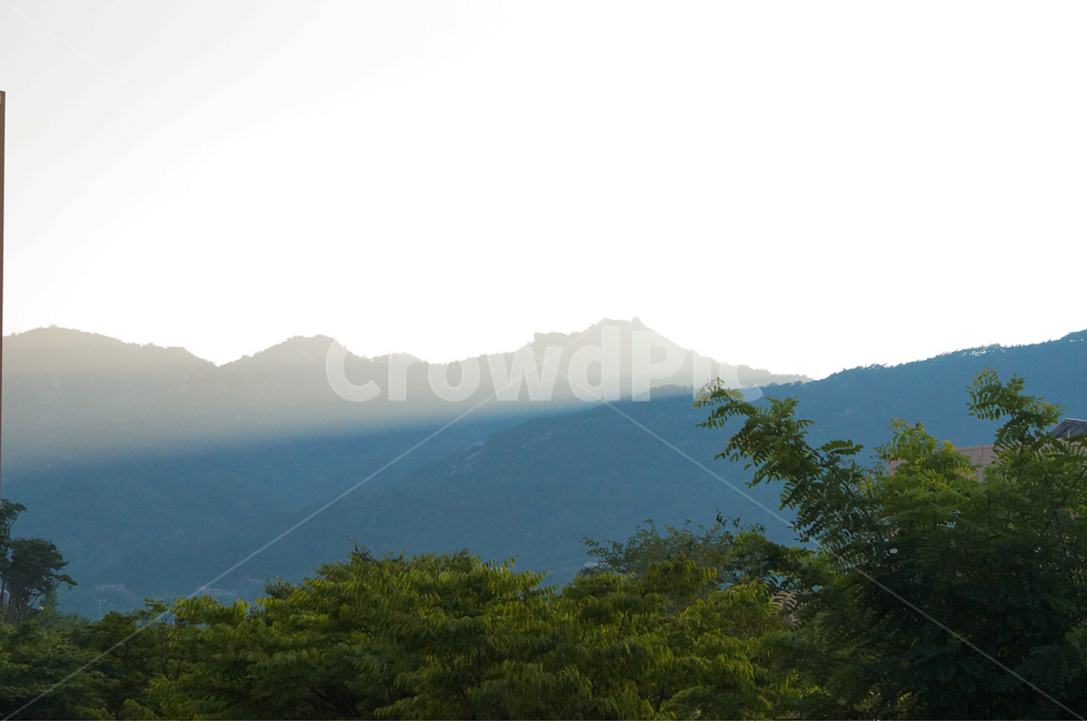 석양,산,빛,풍경,나무,자연,풍경,nature,landscape,mountain range,산맥,mountain,outdoors,옥외