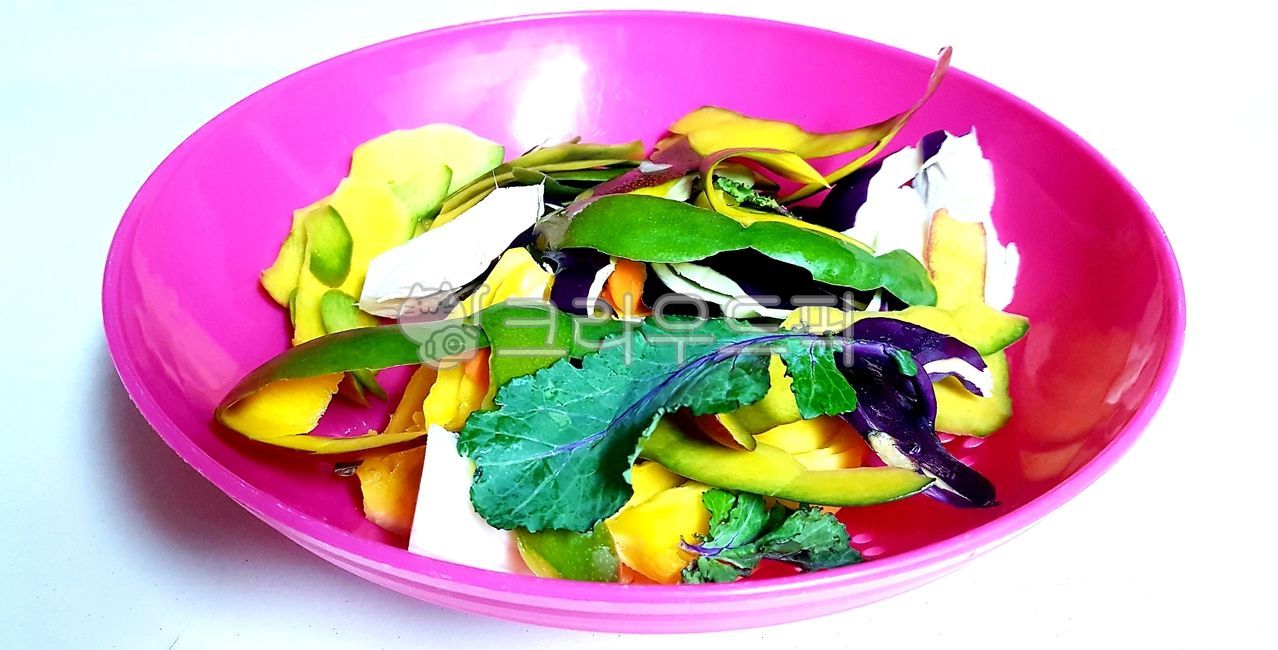 과일껍질,재활용,음식물,접시,용기,받침