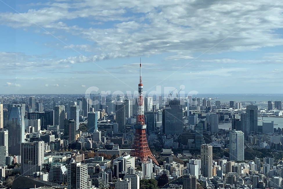 일본,도쿄,풍경,타워,건물,하늘,도시,풍경,city,landscape,urban,어반,town,building,시티,high rise,고층 건물,경치,outdoors,옥외,nature,자연,metropolis,중심지
