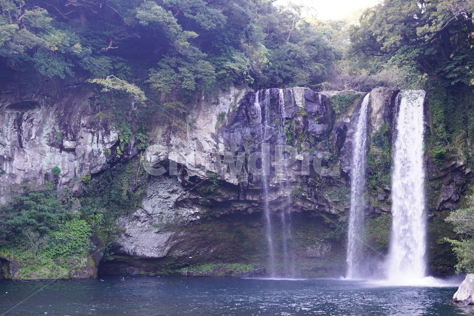 천지연폭포,폭포,절벽,cascade,falls,자연,풍경,nature,landscape,한국자연풍경,한국자연경관,korea nature landscape,river,강,water,물,outdoors,옥외,waterfall