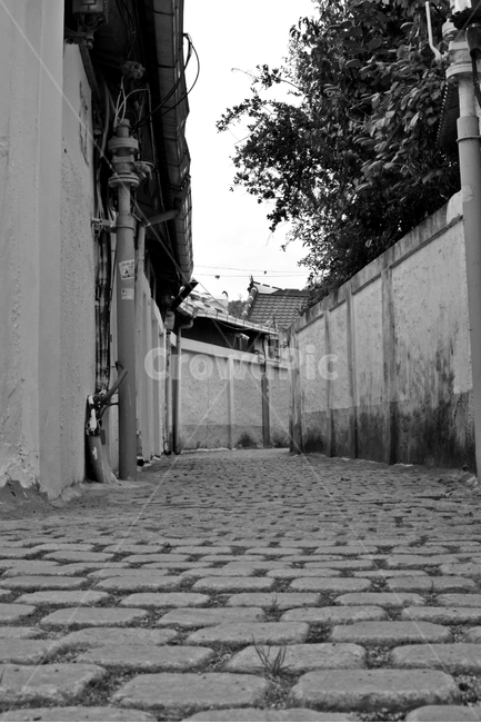 골목길,통로,보도,walkway,path,flagstone,sidewalk,pavement,골목길,alley,흑백,모노톤,monochrome,black and white