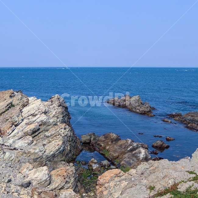 자연,바위,바다,수평선,부산,송정,기장