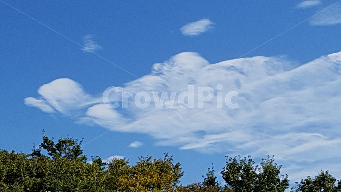 하늘,경치,풍경,자연,한국,구름,맑은날,햇살,나무,푸른색,sky,view,scenery,nature,korea,cloud,sunnyday,sunshine,tree,자연,풍경,nature,landscape,outdoors,옥외,weather,날씨,cumulus,적운