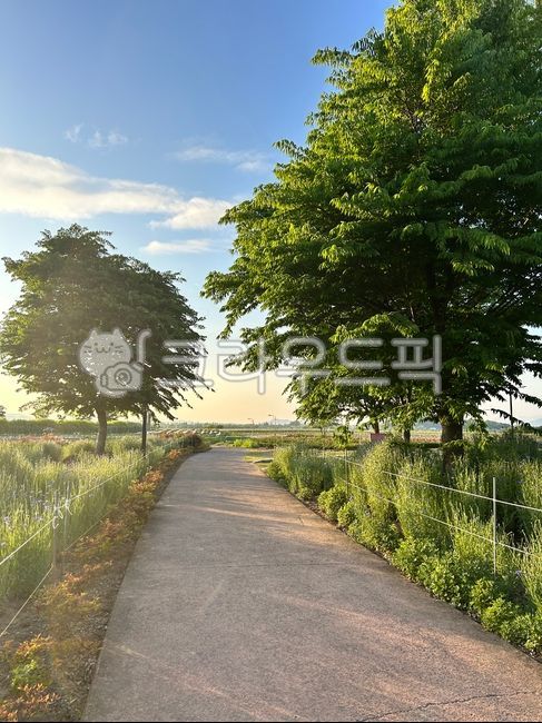 path, 길, road, 도로, nature, 사진,이미지,일러스트,캘리그라피 - maeno작가