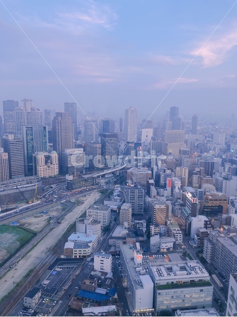 일본,일본전망,대도시,도시,오사카