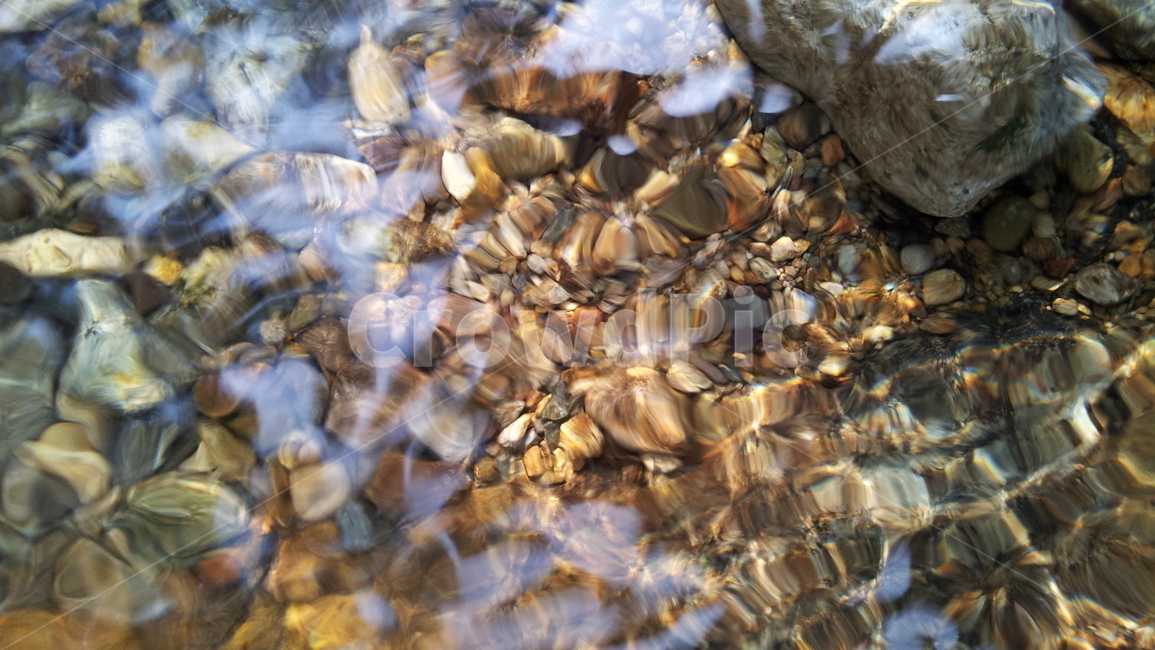 물,계곡,투명한,water,valley,자연,풍경,nature,landscape,insect,곤충,animal,동물,honey bee,꿀벌,invertebrate,무척추 동물,bee,벌