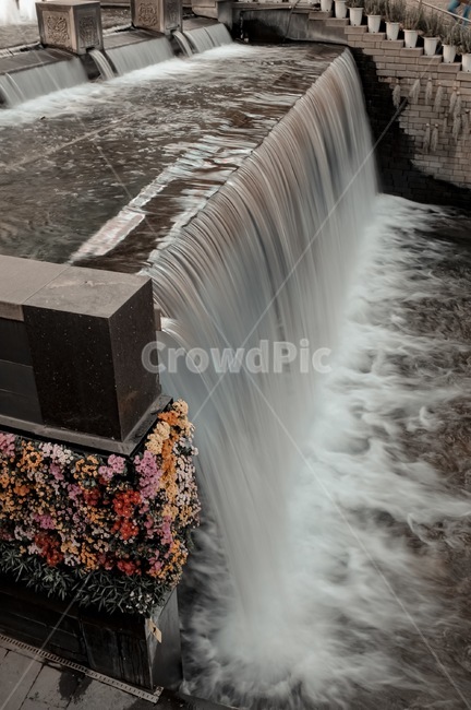 꽃,청계천,폭포,분수,물줄기,water,물,outdoors,옥외,nature,자연,river,강