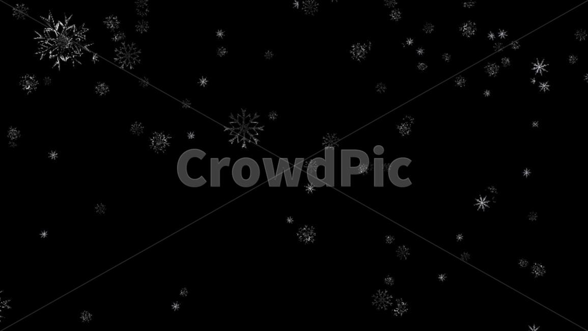 우주공간,꽃씨,민들레씨,flowerseeds,홀씨