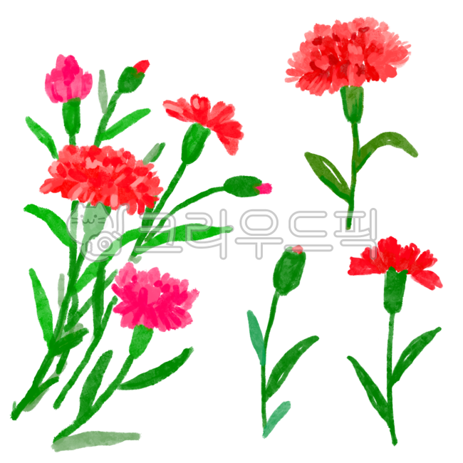 카네이션,어버이날,스승의날,가정의달,꽃,고마움,감사,감사인사,carnation,thankyou,thanks,어버이날카네이션,스승의날카네이션,일러스트,손그림,illustration,mothersday,tamplate,5월,꽃그림,꽃일러스트,redflower