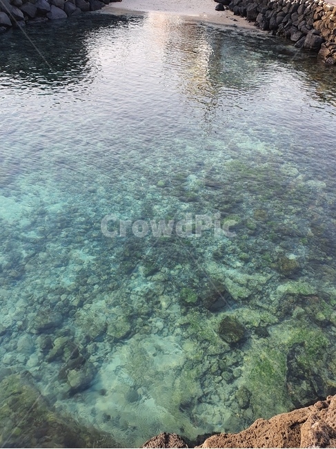 자연,바다,sea,ocean,제주도