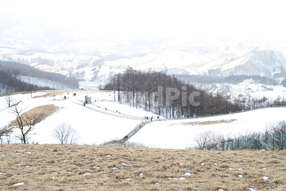 겨울풍경,설경,자연,산,감성,눈과나무,겨울,계절,winter,season,자연,풍경,nature,landscape,한국자연풍경,한국자연경관,korea nature landscape,plant,식물,tree,나무,fir,전나무,abies,아비,outdoors,옥외