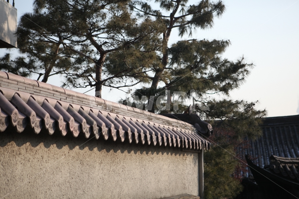 한옥,처마,건물,기와,담장,돌벽,건축,전통,고궁,북촌,한옥마을,전주,한국전통,한국문화,korean traditional,korean culture,건축물,건물외관,exterior,building,structure,architecture,construction