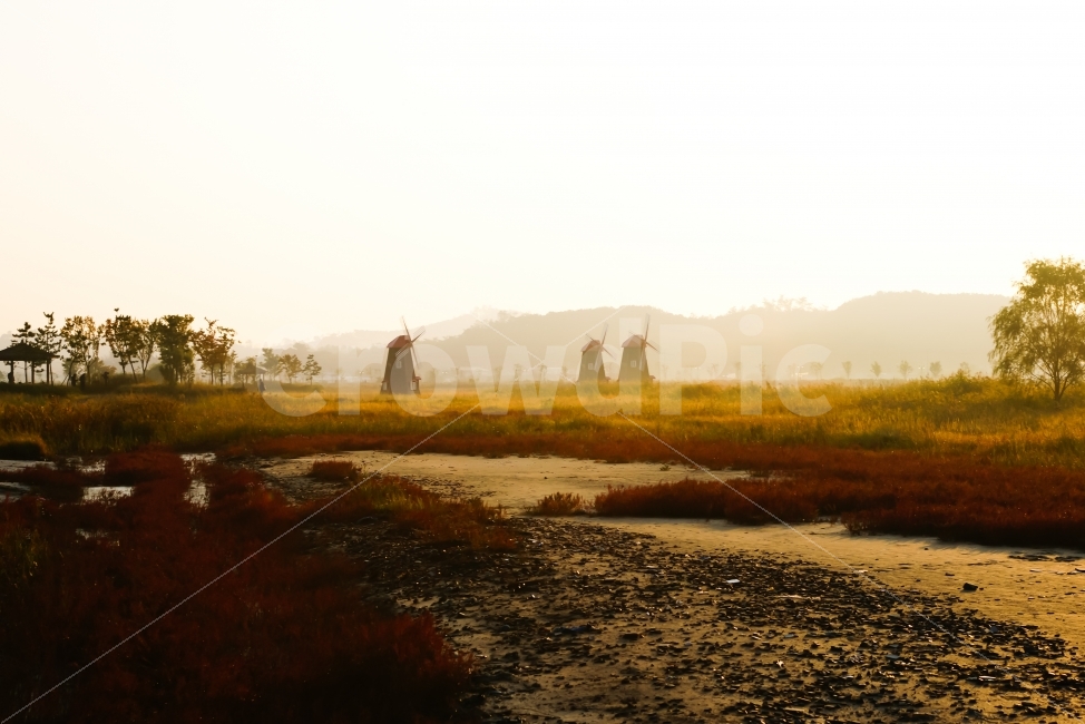 인천,소래포구,소래습지공원,습지,염전,풍차,정자,가을,함초,자연,풍경,nature,landscape,가을,계절,fall,autumn,season,land,땅,outdoors,옥외,water,물,swamp,늪,bog,변소,marsh