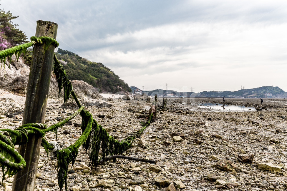 갯벌,썰물,바닷가,해안,풍경,해안가,뻘,구름,해변,바다,beach,sea