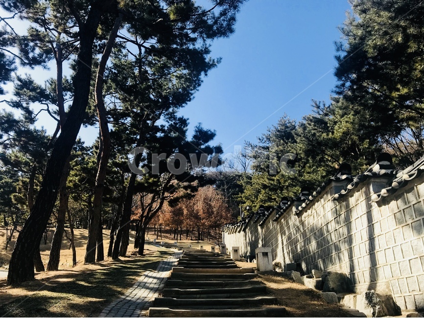 수원화성,팔달산,풍경사진,자연사진,오르막길,한국전통,한국문화,korean traditional,korean culture,식물,자연,plants,nature,나무,trees,wood