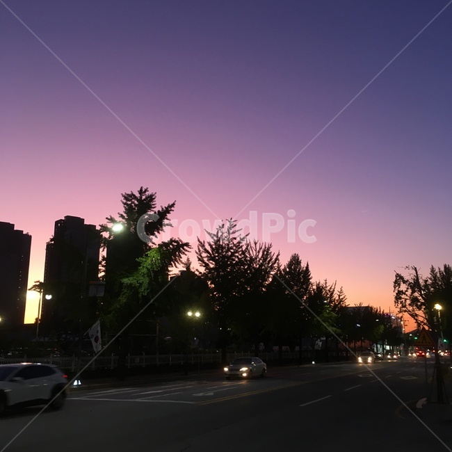road,도로,야경,자연,landscape