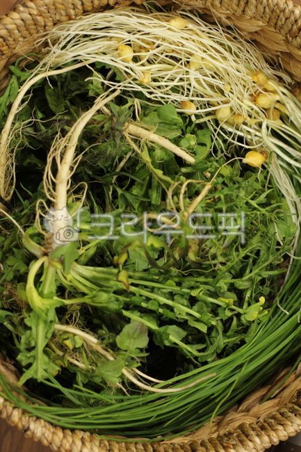 냉이,봄,나물,채소,shepherdspurse,vegetable,채소,야채,vegetables
