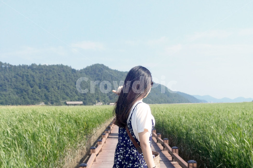 뒷모습,여자,인물,풍경,사람,자연,들,nature,outdoors,옥외,person,field,야외,하늘,풀,들판,긴머리,woman,lady,femalee,인간,계절,한국,순천,사람,인물,인간,human,person,여성,여자,woman,female,lady