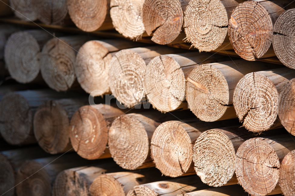 wood,나무,lumber,재목,가공나무,갈색,자연,나무,trees,wood