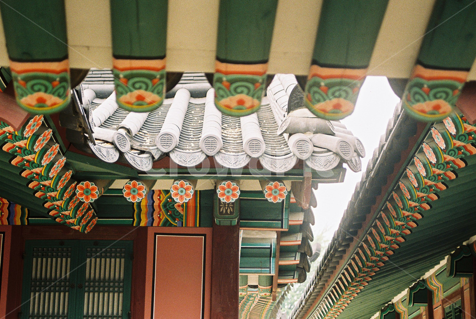 한국,전통,기와,처마,궁,창덕궁,기와지붕,korea,eavestraditional,rooftile,tiledroof,palace,changdeokgungpalace,한국전통,한국문화,korean traditional,korean culture,건축물,건물외관,exterior,building,structure,architecture,construction