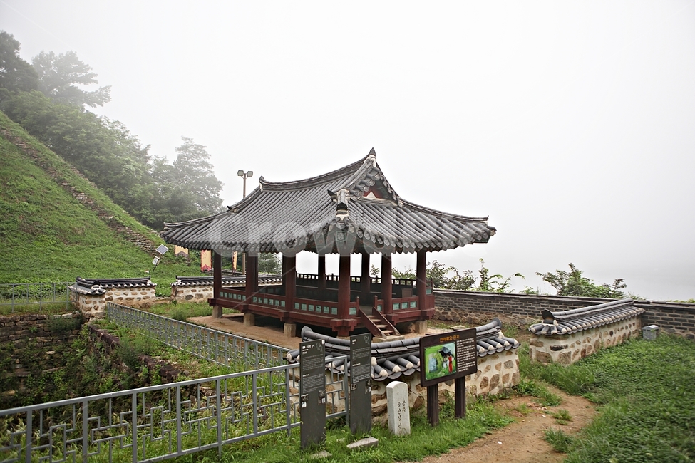 공주산성,성,성곽,산성,길,둘레길,숲,숲길,안개,돌담,담,여름,자연,풍경,벽,방어벽,흙담,나무,식물,유네스코등제