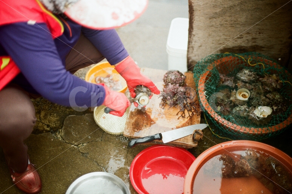 해녀,제주도,소라,바다,제주바다,제주해녀,인물사진,감성사진,자연,맛,해삼,삶,대한민국,jeju,sea,personal,sensitive,nature,life,korea,시장,마트,마켓,market,mart,market place,사람,인물,인간,human,person