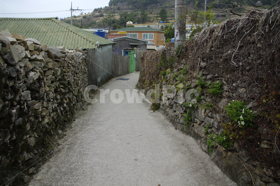 골목길,돌담길,돌담,집,시골,길,지붕,시골,마을,풍경,landscape,country,rural,town,골목길,alley,road,도로,outdoors,옥외,building,건물
