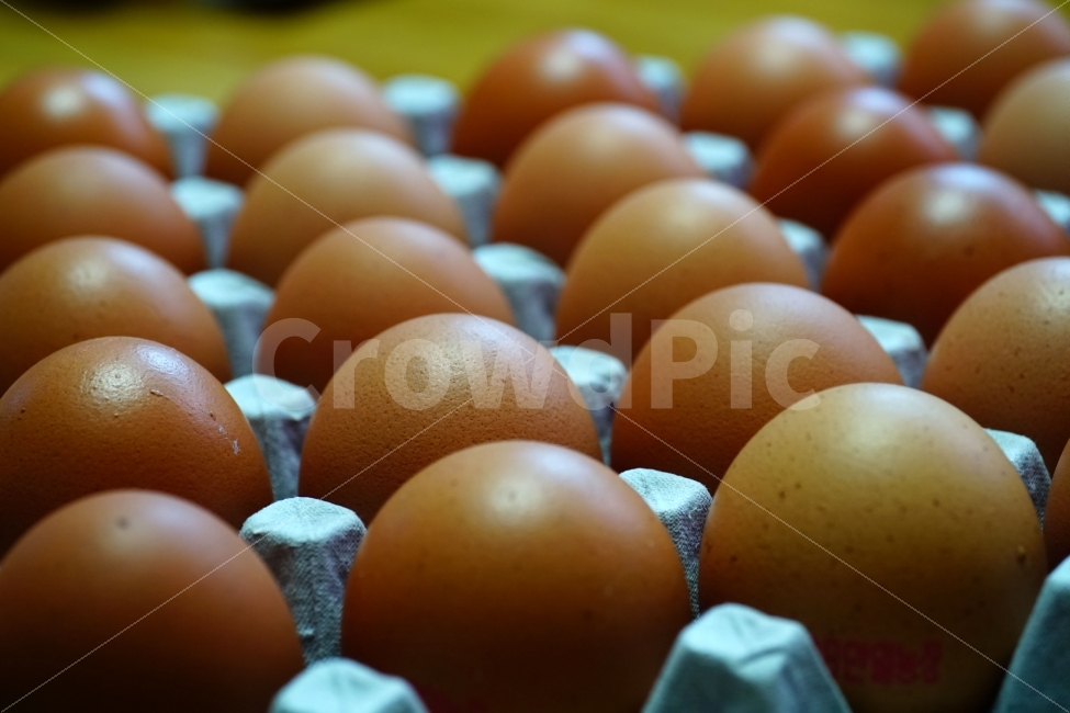 chicken,raw eggs,egg,objects,recipe,animal nature,side dish,ingredients,cooking,poultry farm,raw egg,cook,food ingredients,food,chick,grocery,thing,object