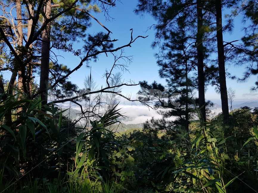 자연,구름,구름비다,산정상,맑은하늘,공기,nature,cloud,sky,배경화면