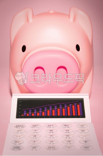 돼지저금통,전자계산기,그래프,저축,투자,계산,경제,자산,금융,재무,재정,상승,성장,주식,이익,수익,컨셉,저금,비즈니스,절약,금융,돈,finance,banking,money