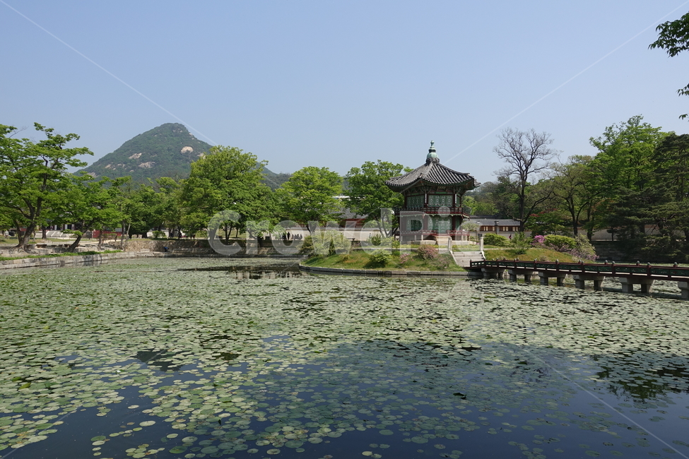경복궁,한옥,한국,풍경,연못,궁,한국궁
