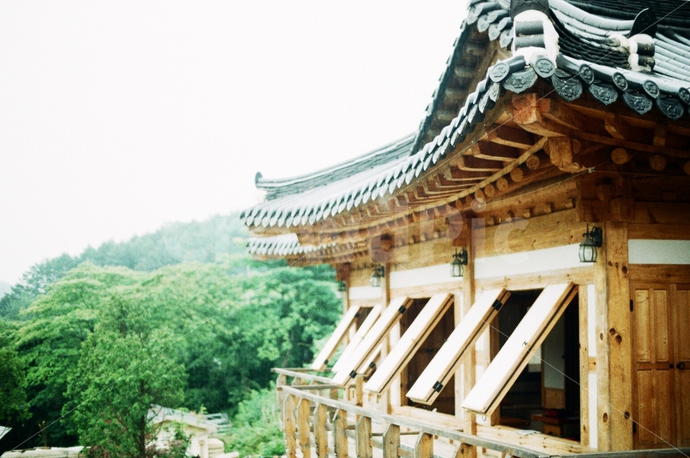 대한민국,한옥,전통,기와집,아름다운,풍경,여유,여행,힐링,필름사진,감성사진,문,고리,코리아,처마,나무,하늘,korea,house,beautiful,slow,healing,film,sensitive,door,tree,sky,nature,한국전통,한국문화,korean traditional,korean culture