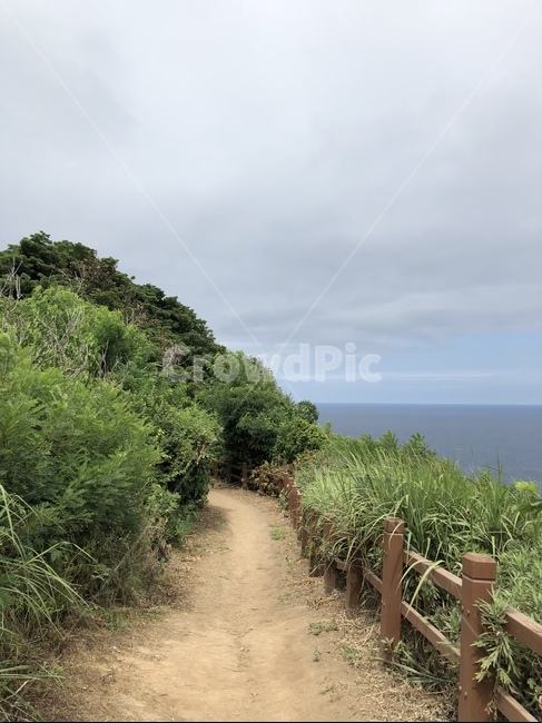 울릉도,바다,하늘,섬,풍경,길,자연,풍경,nature,landscape