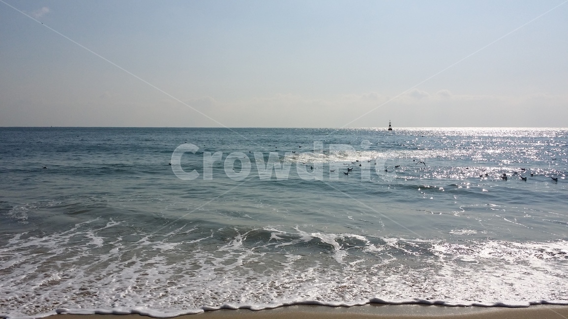 바다,sea,물,water,nature,자연,옥외,outdoors,대양,ocean,파도,물결,수평선,시원함,여름