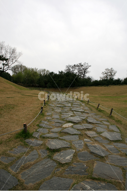 봄길,공원,산책,길,봄,봄날,감성,spring,풍경,봄,계절,spring,season,자연,풍경,nature,landscape,flagstone,판석