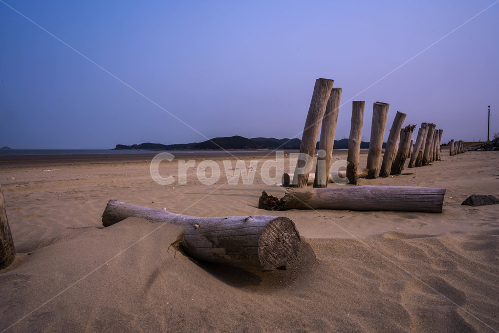 해변,바닷가,모래,사구,모래밭,말뚝,풍경,자연,풍경,nature,landscape,해변,바다,beach,sea,wood,나무
