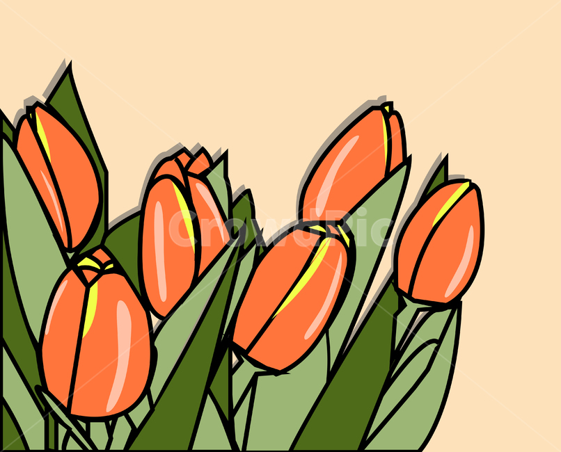 일러스트,튤립,꽃일러스트,꽃,flower,그래픽,일러스트레이션,graphic,illustration
