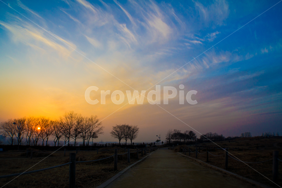 노을,해질녘,일몰,역광,풍경,sunest,landscape,나무,light,빛,flare,플레어,sunlight,햇빛,태양,공원,plant,nature,자연,그라데이션,일출,sunset,자연,풍경,nature,landscape,outdoors,옥외