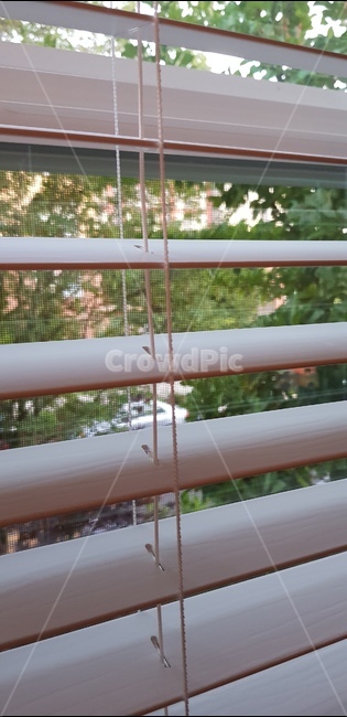 커튼,창문,창그늘,window,windowshade