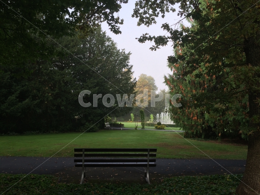 벤치,숲,나무,휴식,공원,park,rest,peace,peaceful,tree,forest,nature,자연,풍경,nature,landscape,휴식,힐링,rest,relaxation,healing,bench,grass,잔디,plant,식물