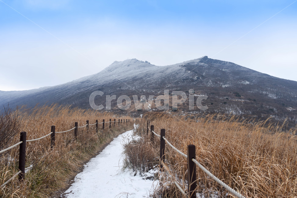 무등산,자연,산,산맥,outdoors,mountain,겨울,눈,winter,snow,cold,억새,갈색,sivergrass,lonely,외로움,고독