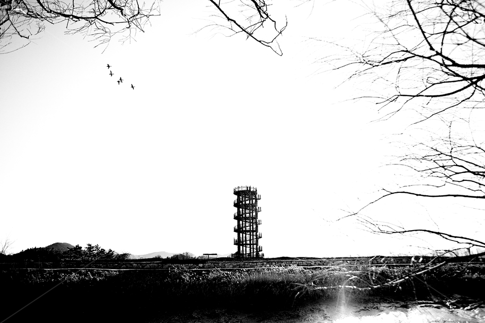 전망대,생태공원,풍경,자연,배경,시흥시,자연,풍경,nature,landscape,한국자연풍경,한국자연경관,korea nature landscape,흑백,모노톤,monochrome,black and white