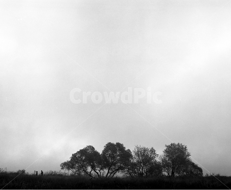 물안개,안개,물의정원,남양주,일출,아침,흑백필름,필름,자연,풍경,nature,landscape,한국자연풍경,한국자연경관,korea nature landscape,흑백,모노톤,monochrome,black and white,weather,날씨,outdoors,옥외