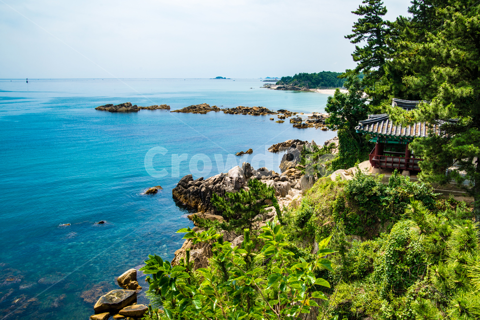 천학정,정자,바다,강원도,해변,절벽,자연,풍경,nature,landscape,해변,바다,beach,sea,한국전통,한국문화,korean traditional,korean culture,건축물,건물외관,exterior,building,structure,architecture,construction,promontory,곶