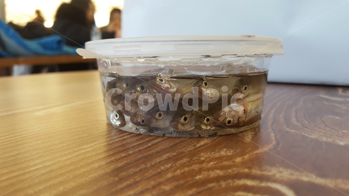 빙어,물고기,fish,케이스,탁자,어류,물고기,fish